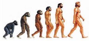 Infografia de la evolucion humana